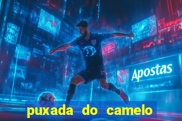 puxada do camelo no jogo do bicho